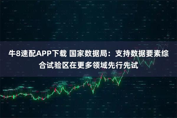 牛8速配APP下载 国家数据局：支持数据要素综合试验区在更多领域先行先试